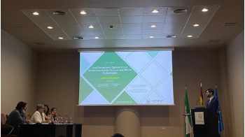 Low dimensional optoelectronic