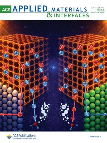 aamick.2026.18.issue-6.xlargecover-2 aamick.2026.18.issue-6.xlargecover-2