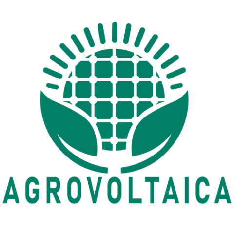 Escriba aquí el título del banner.