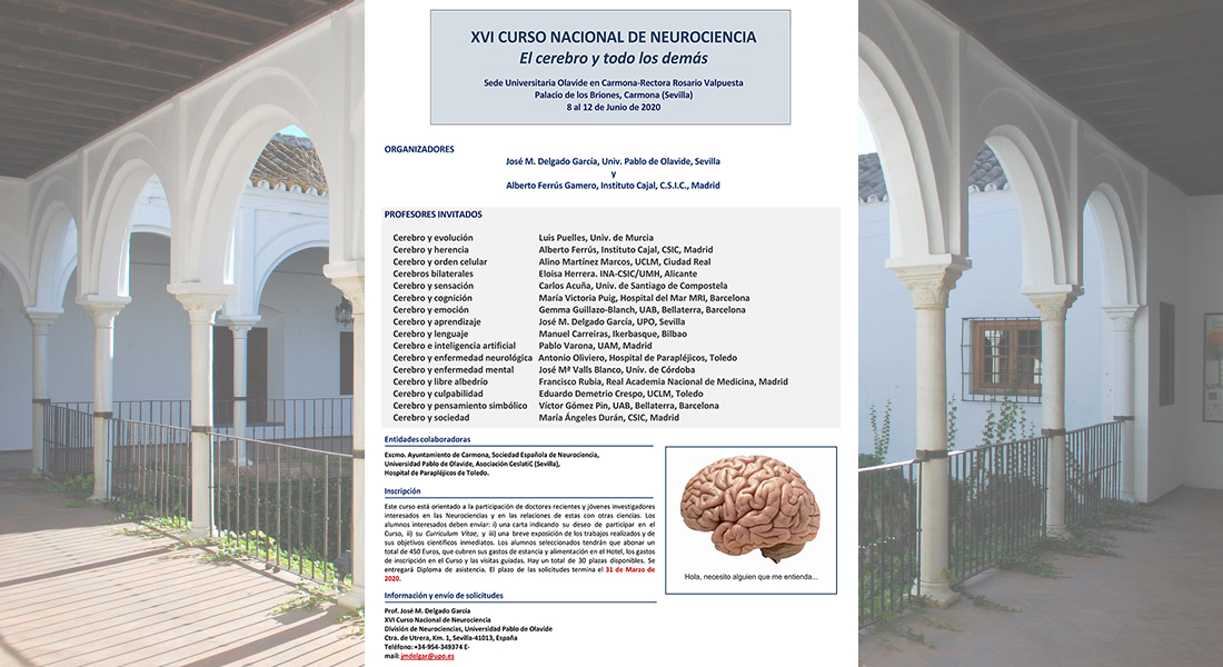 XVI Curso Nacional de Neurociencia