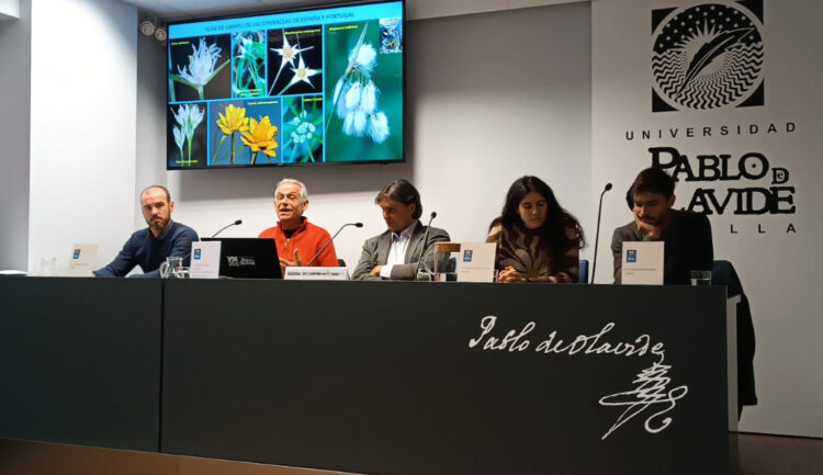 De izquierda a derecha, Santiago Martín Bravo, Modesto Luceño Garcés, el rector Francisco Oliva Blázquez, Begoña Quirós de la Peña y Rogelio Sánchez Villegas, en un momento de la presentación.