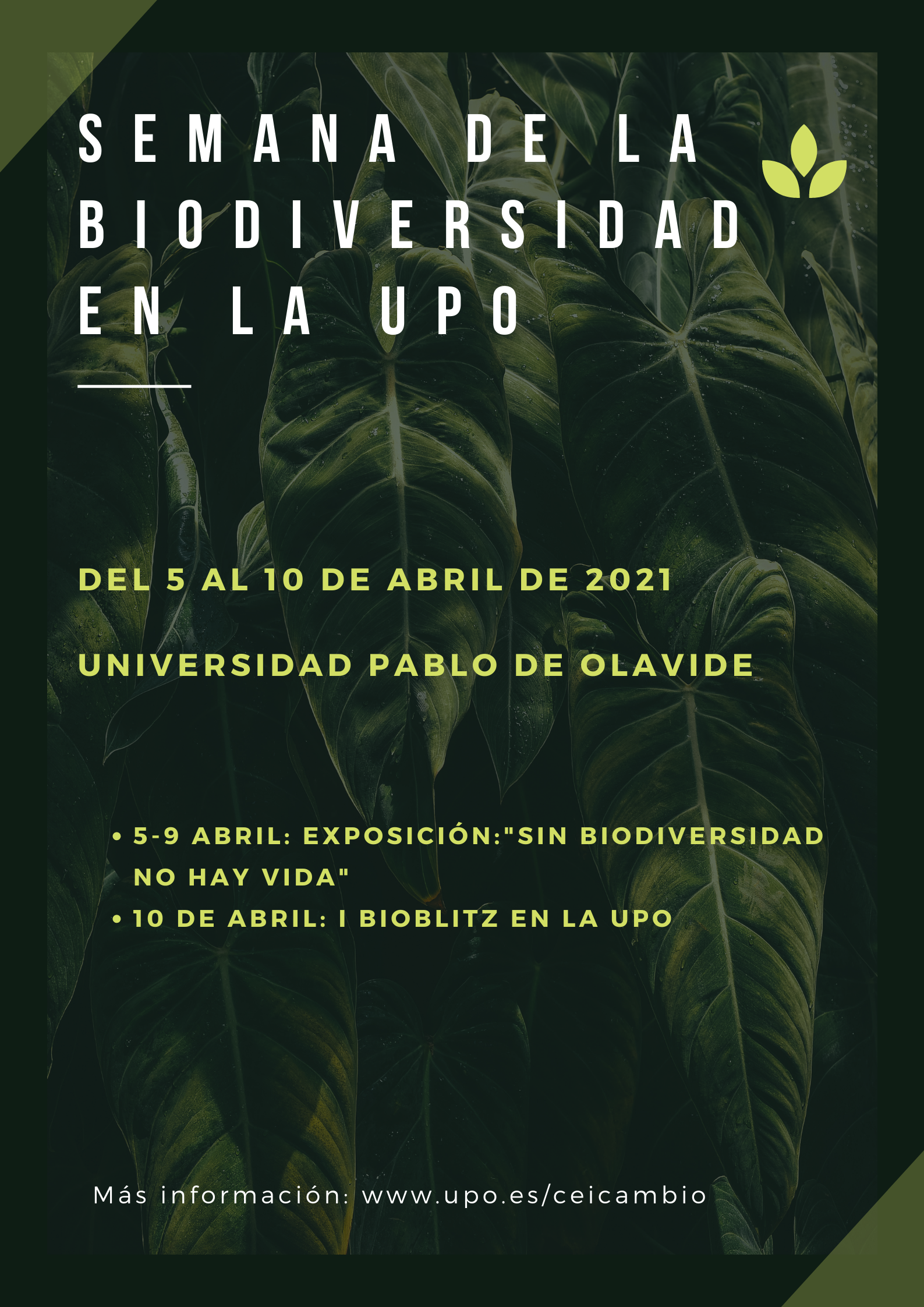 biodiversidad.png