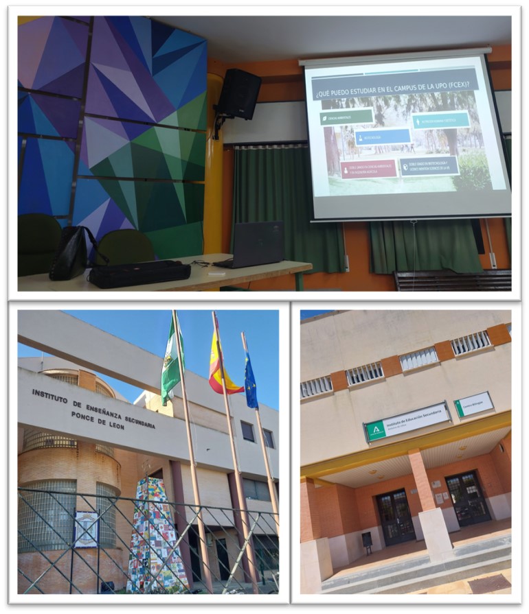 ies MAYO