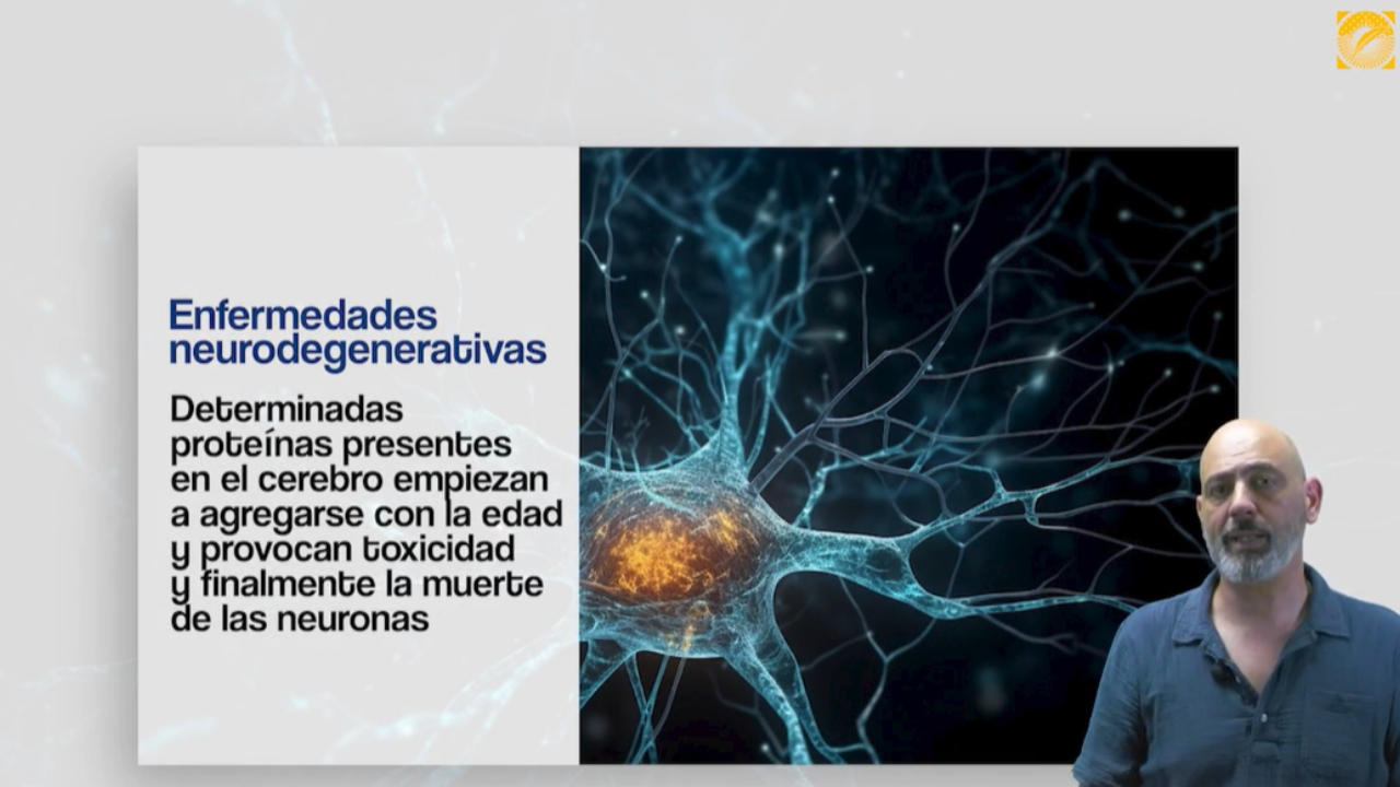 El compuesto STX64, un inhibidor de la actividad de la sulfatasa ester...