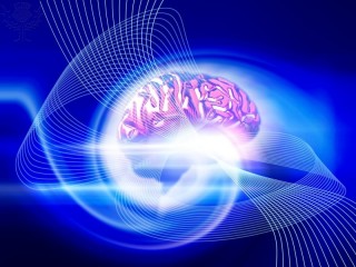 ilustración de un cerebro hecha por ordenador