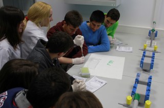 Los estudiantes en los talleres "Aquí hay Ciencia" impartidos por AsBAn
