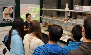 Los estudiantes de centros educativos en el taller teórico-practico en vertebrados