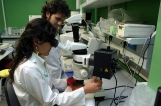 En 2012, la UPO es la cuarta universidad de Andalucía en número de proyectos concedidos