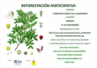 cartel_reforestacion