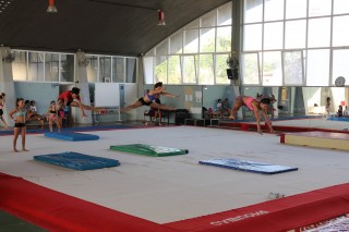 Los gimnastas entrenan en las modalidades artística y acrobática.