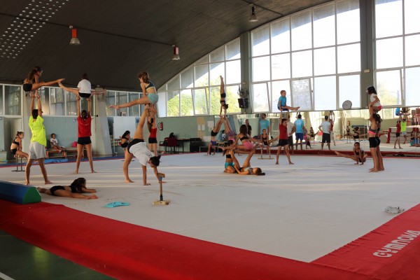 Los gimnastas entrenan en el Pabellón 39 de la UPO.
