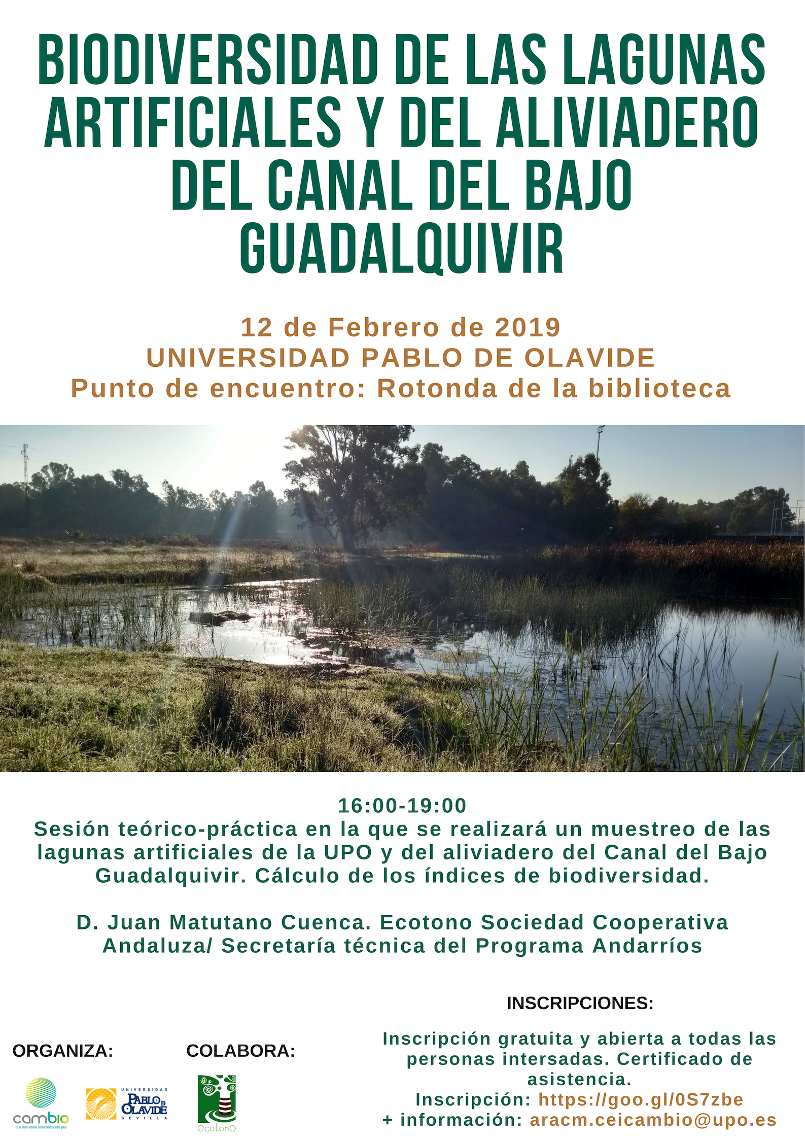 Sesión teórico-práctica para conocer la biodiversidad de las lagunas  artificiales de la UPO – DUPO – Diario de la Universidad Pablo de Olavide