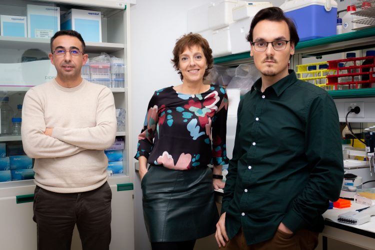 Desde la izquierda, José Luis Cantero, Mercedes Atienza y Daniel Baena en su laboratorio