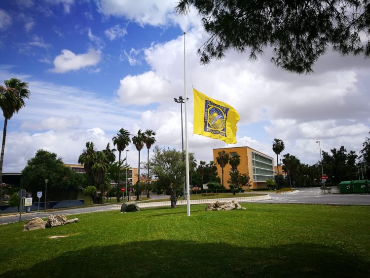 vista de una bandera a meida asta en el campus
