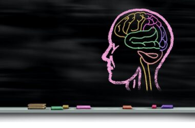 cerebri dibujado en una pizarra: ilustración sobre el aprendizaje y la neurociencia