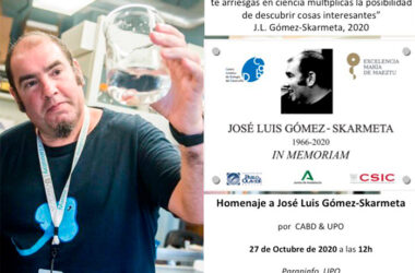 Homenaje a José Luís Gómez-Skarmeta