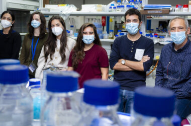 Desde la izquierda: Silvia Salas, Ana Sánchez, María Expósito, Paula Monterrubio, Gabriel Ruiz y Rafael R. Daga en su laboratorio del CABD
