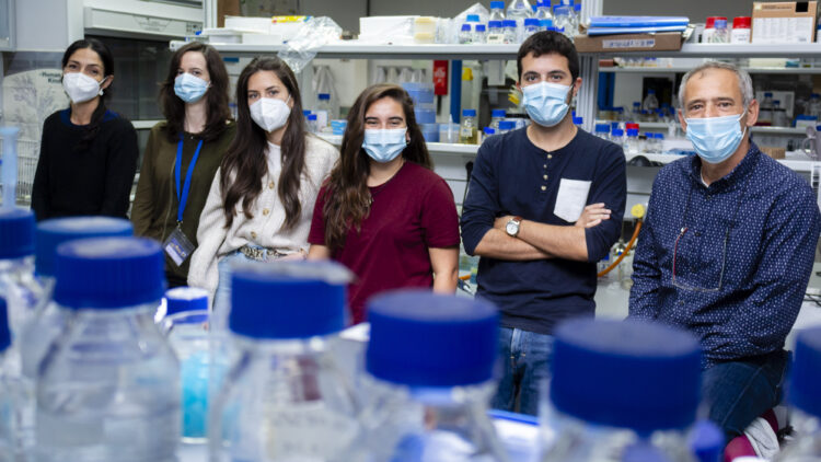 Desde la izquierda: Silvia Salas, Ana Sánchez, María Expósito, Paula Monterrubio, Gabriel Ruiz y Rafael R. Daga en su laboratorio del CABD