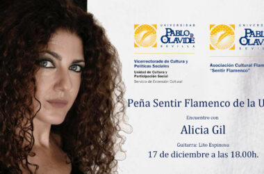Encuentro con Alicia Gil, 17 de diciembre a las 18 horas