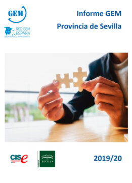 Informe GEM Sevilla 2019/20