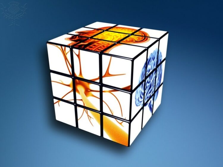 Ilustración sobre neurociencia: un cubo con imágenes del cerebro y neuronas en sus caras