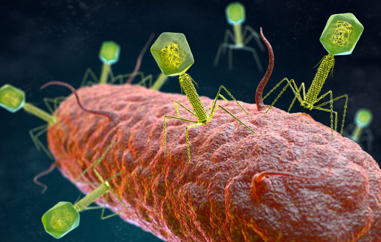 virus sobre una bacteria (ilustración)