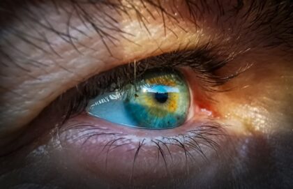 Los ojos de los vertebrados se construyen de una forma muy parecida en el embrión en desarrollo. / Pixabay