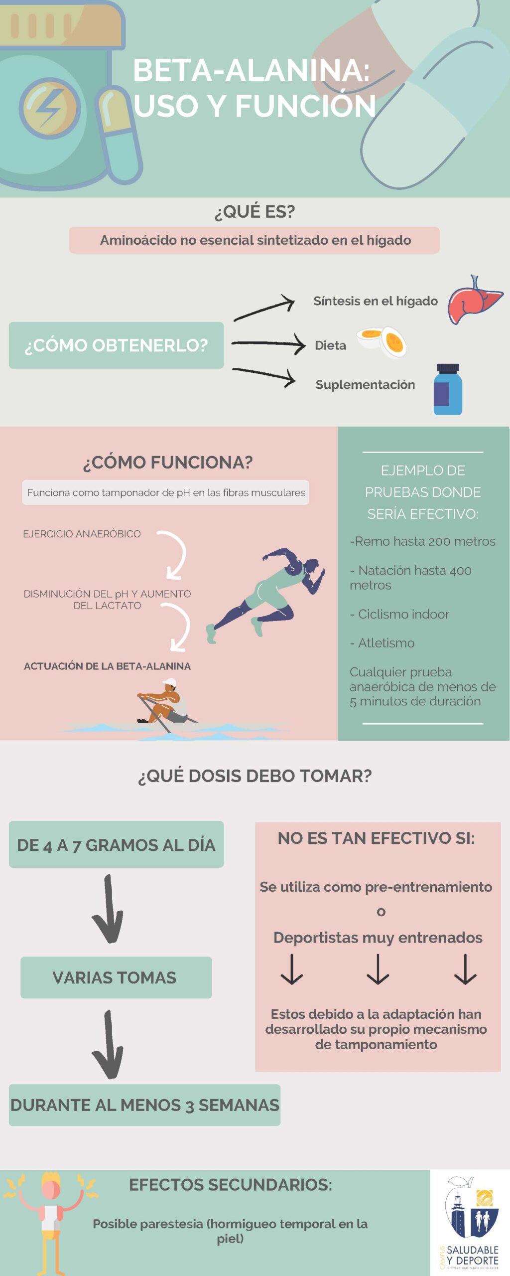 2_INFOGRAFIA-BETA-ALANINA-scaled
