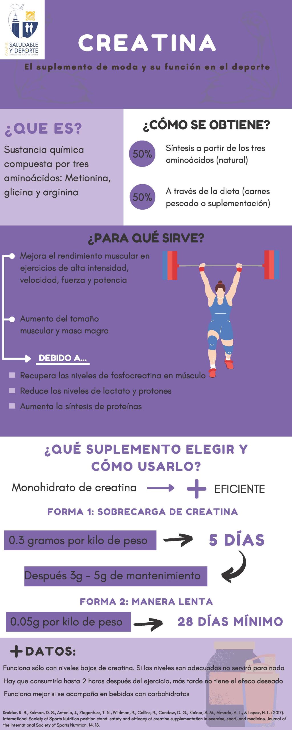 3_INFOGRAFIA-CREATINA-scaled