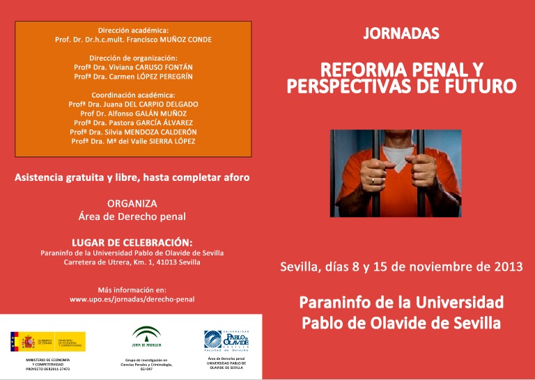 2013-programa Reforma penal y perspectivas de futuro