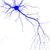 Neurona-